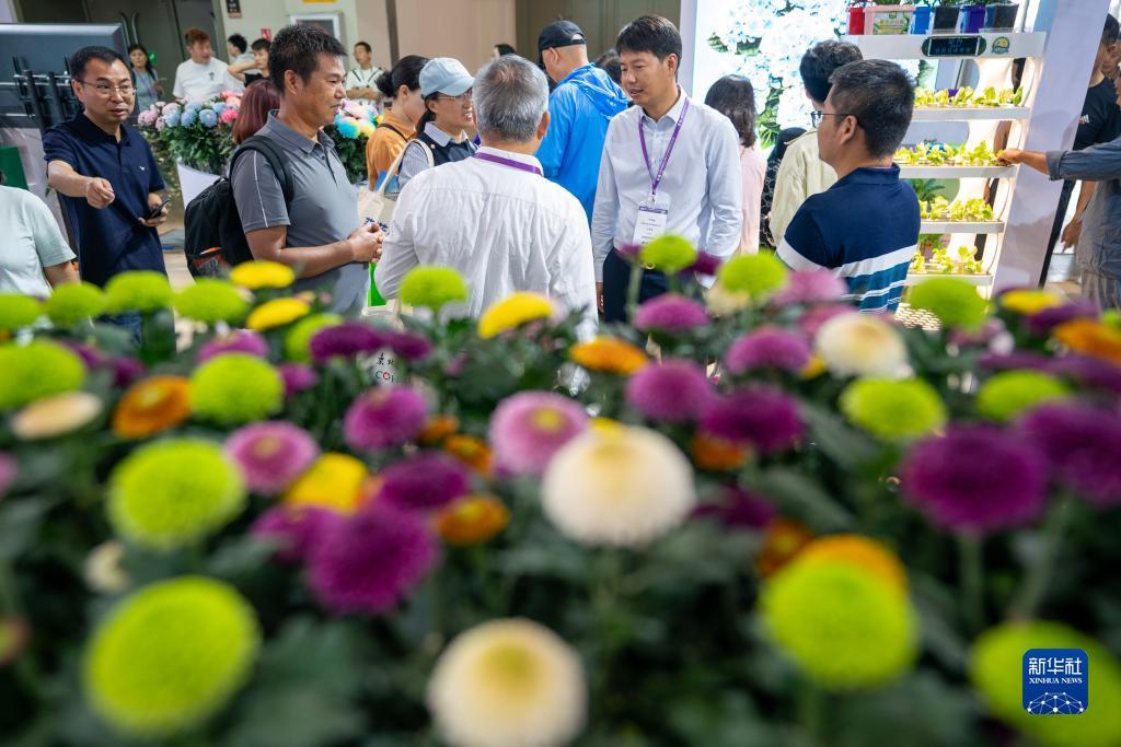 金沙55平台